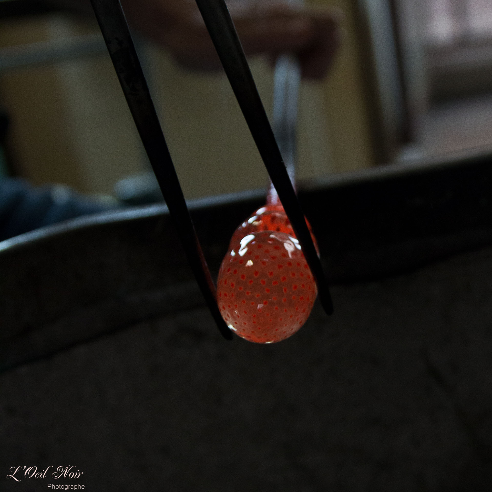 L' Oeil Noir Photographe